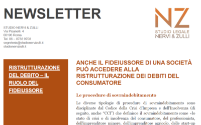 Newsletter – Fideiussore e Procedure di Sovraindebitamento